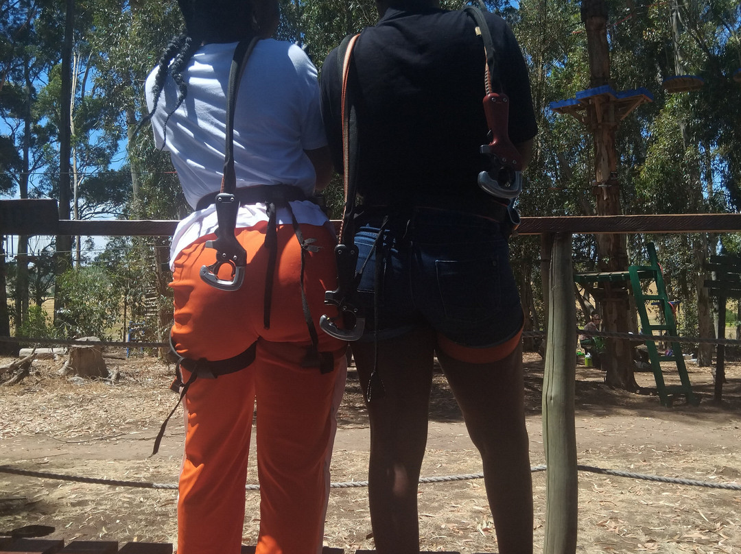 Acrobranch Stellenbosch-斯泰伦博斯必去景点