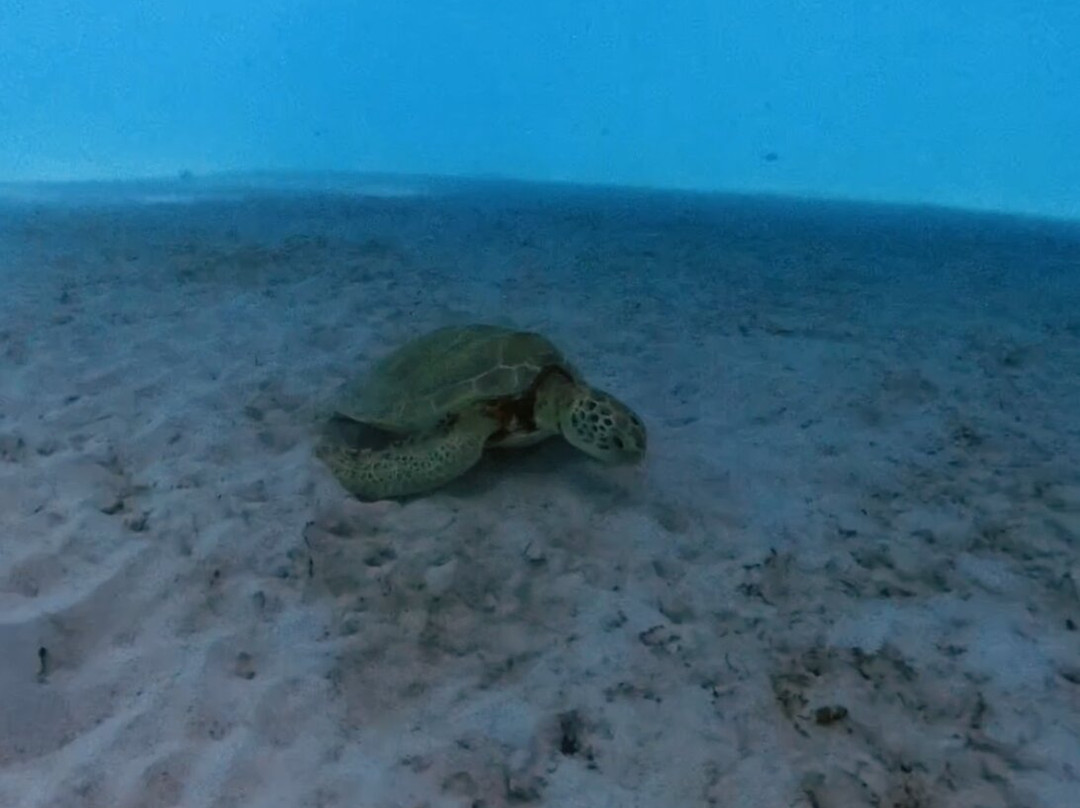 Seaduced Luxury Charters-Sunset Crest必去景点