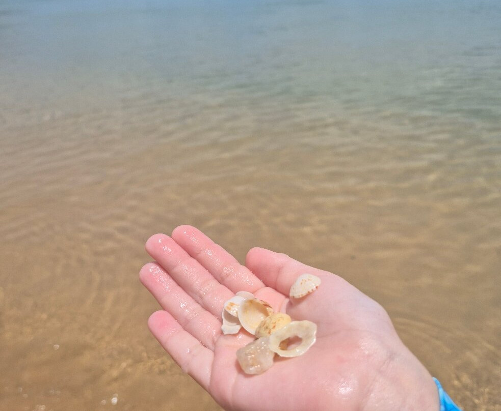 Praia da Tartaruga-布基亚斯必去景点