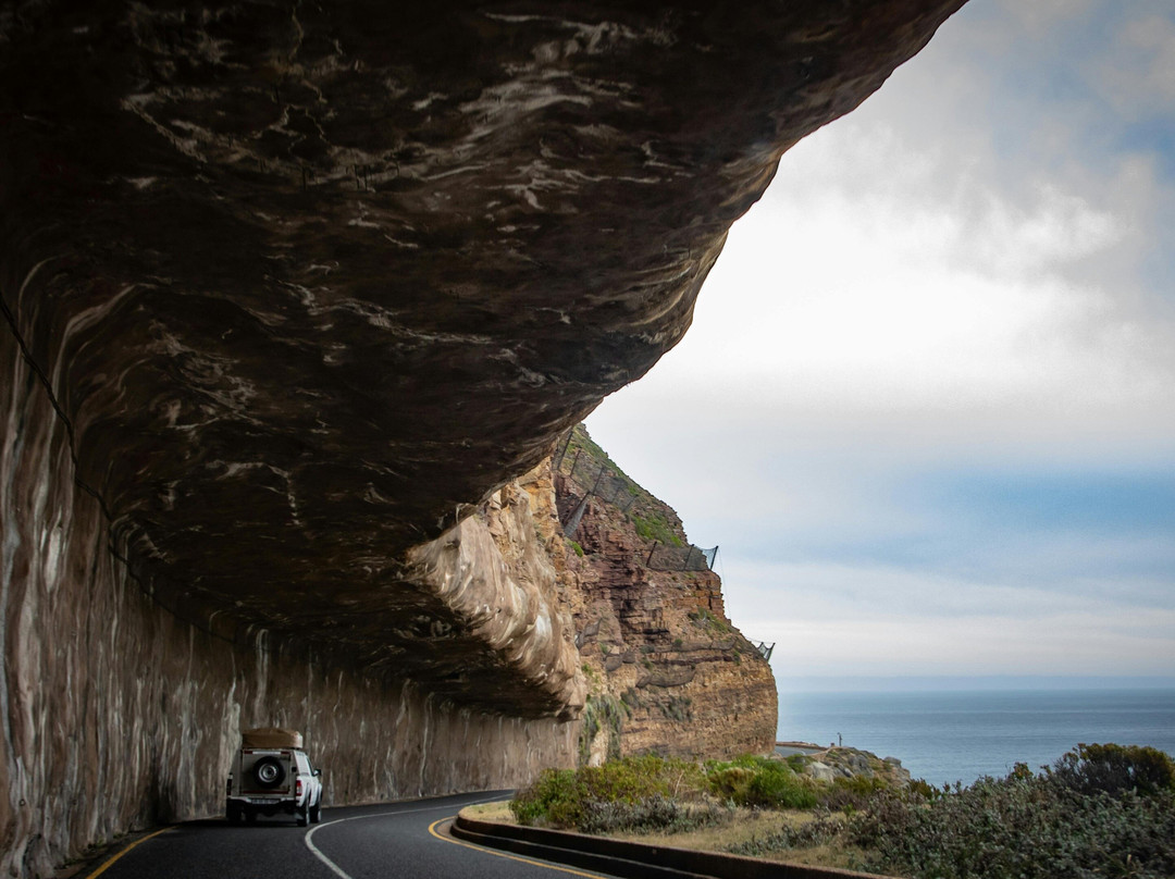 Chapman's Peak and Cape Peninsula Tour