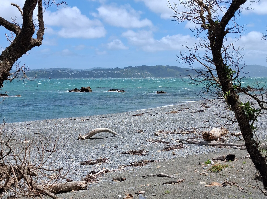 Pencarrow Coastal Trail-惠灵顿必去景点