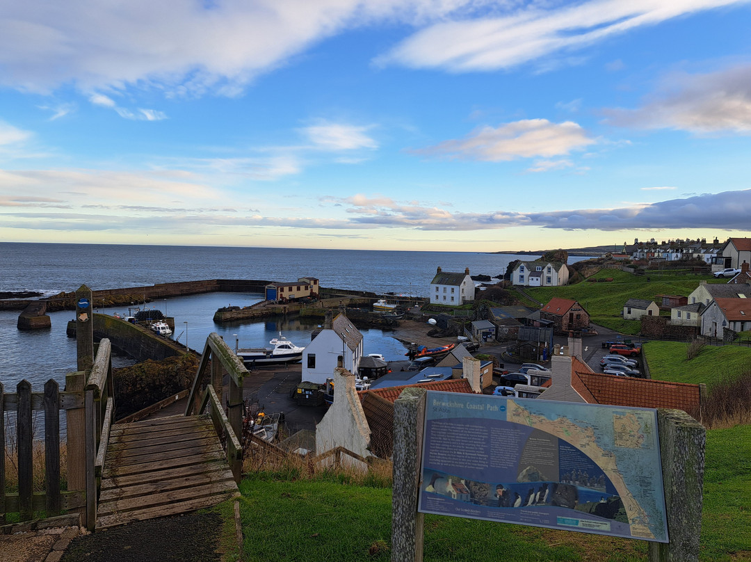 New Asgard-St Abbs必去景点