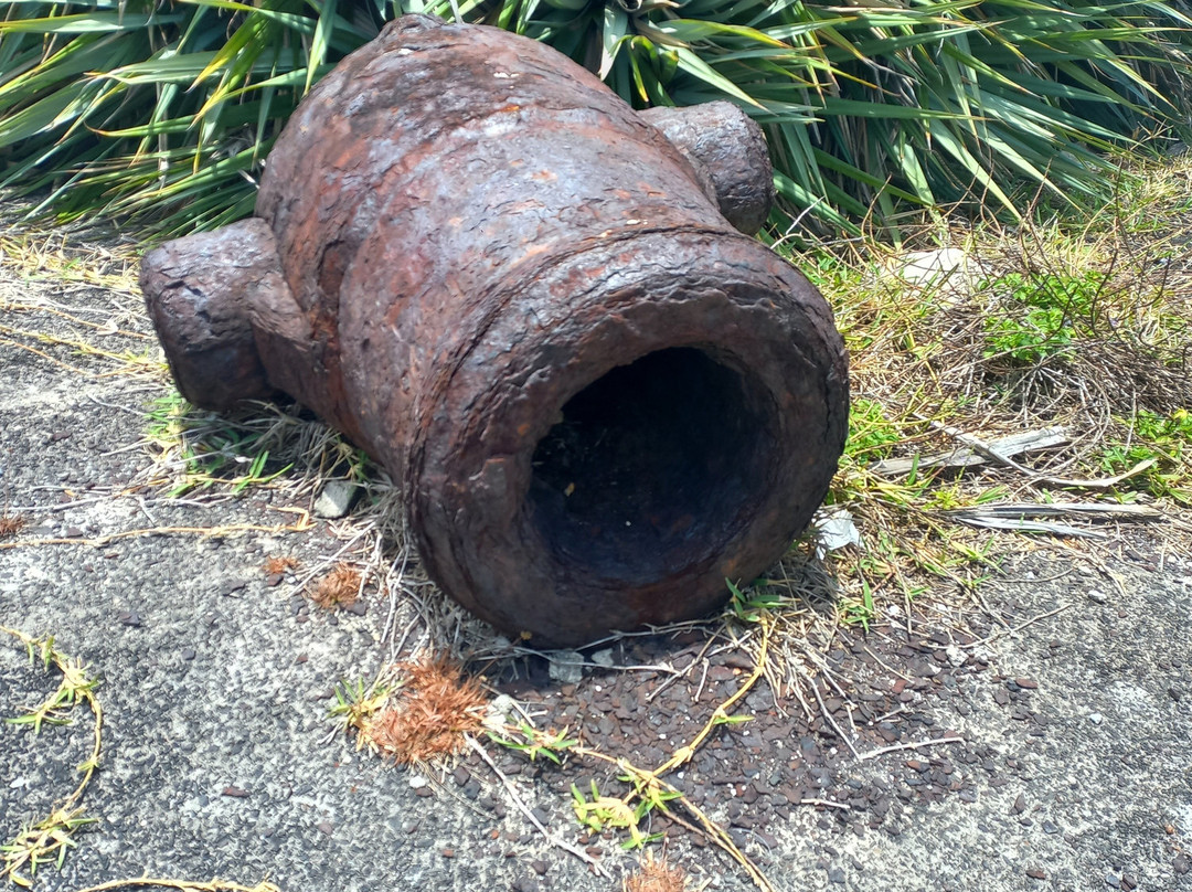 Sud Sauvage Adventure-Surinam必去景点