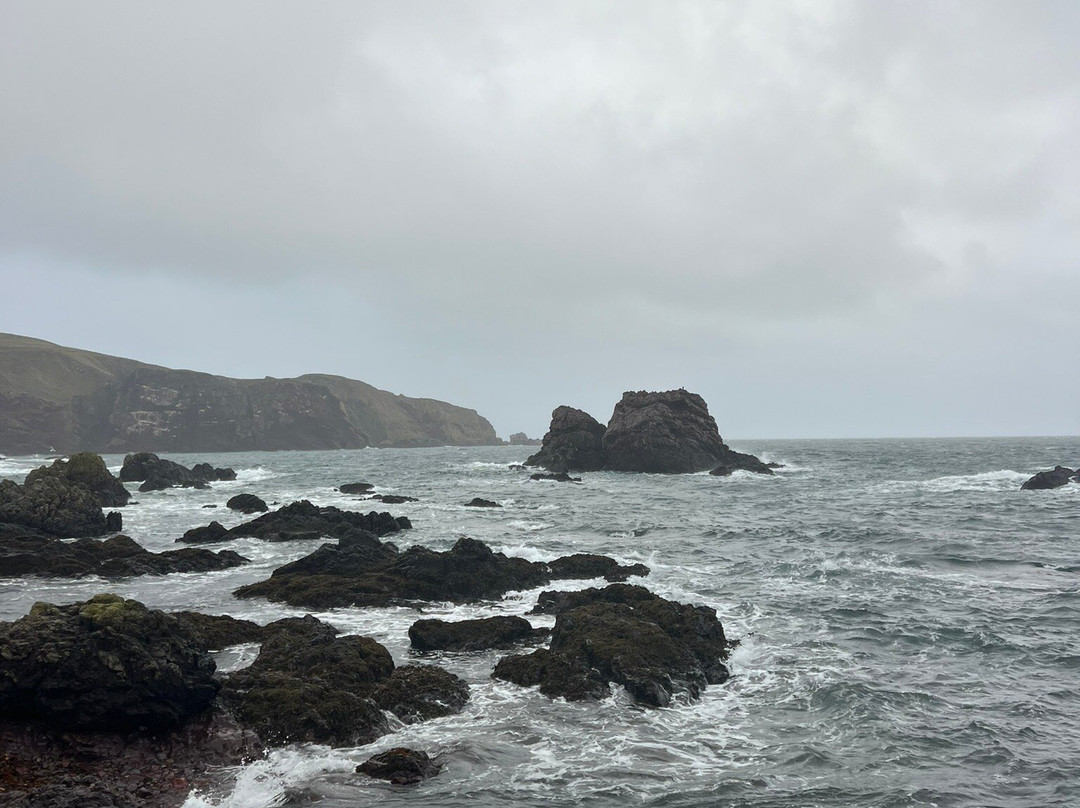 St Abbs Harbour-St Abbs必去景点