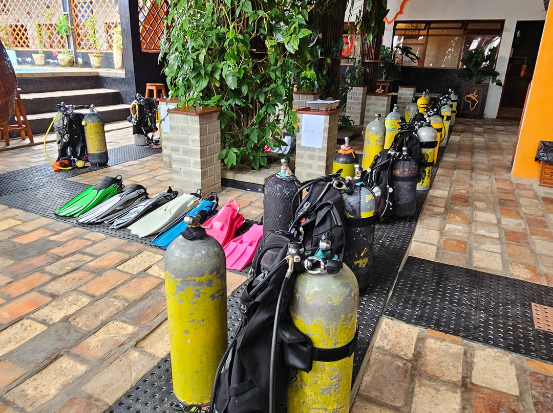 SAFARI, DRIVE & DIVE TOURS-Inhambane必去景点