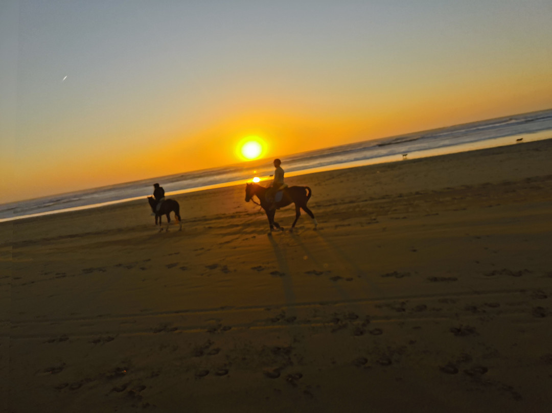 Mogador Horse-Diabat必去景点