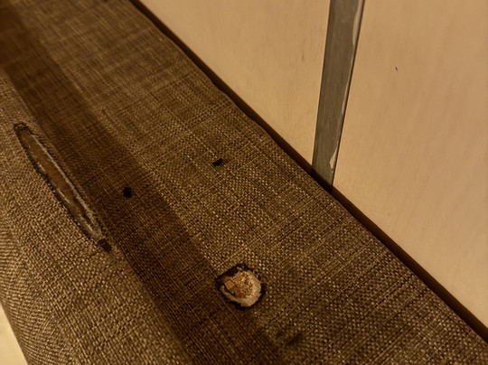 Longosphere Glamping主图