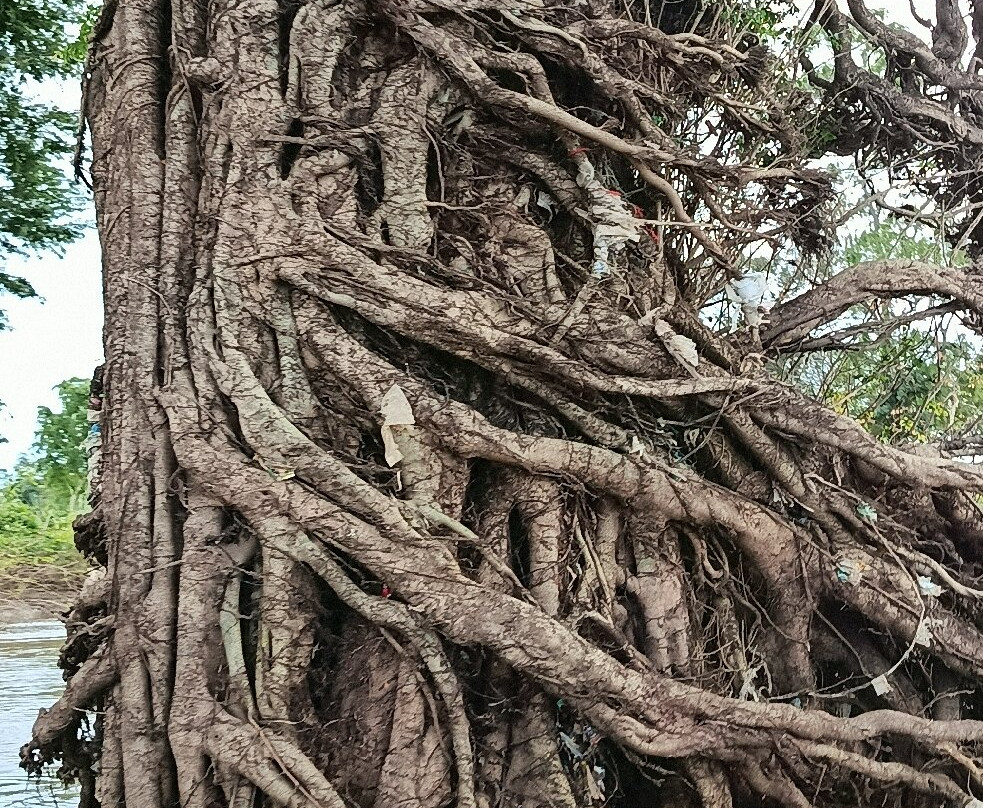 Mekong Ramsar Trail-Stung Treng必去景点