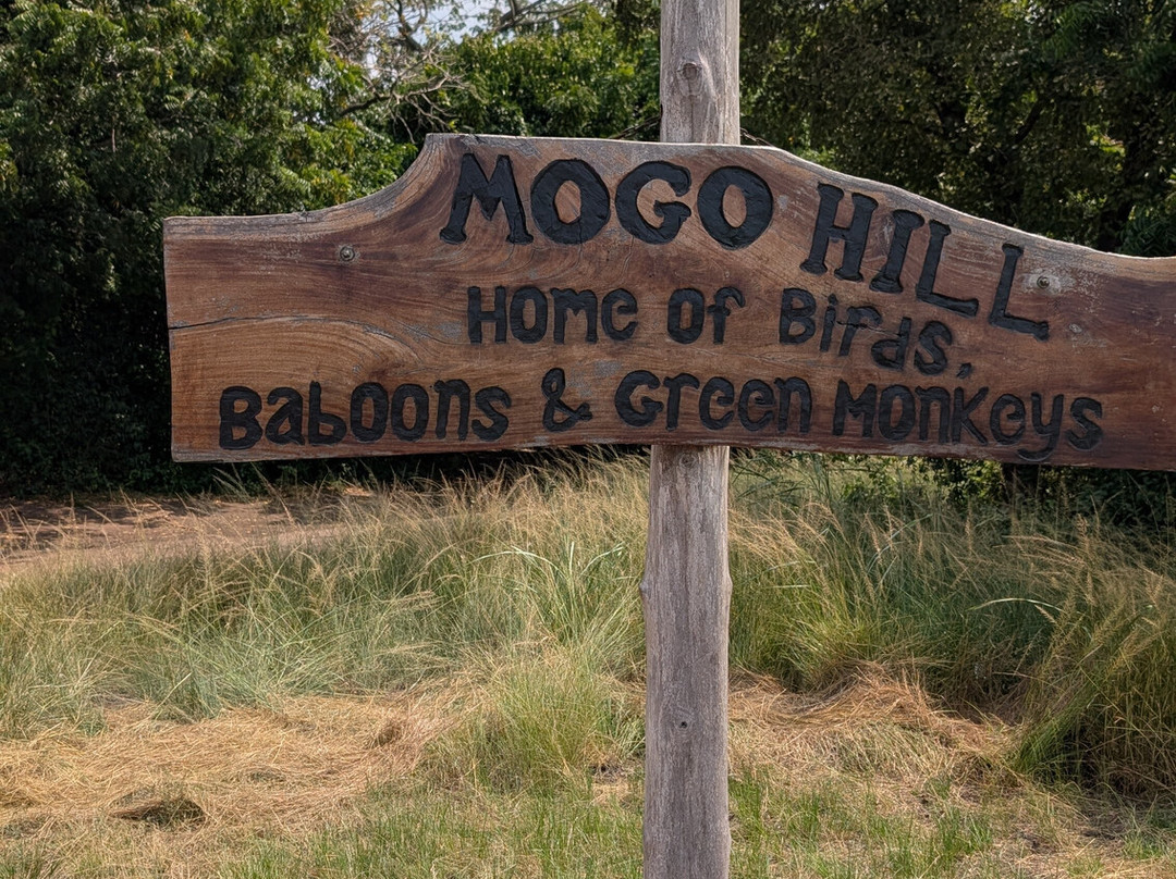 TANF Charity-Tours-Aburi必去景点