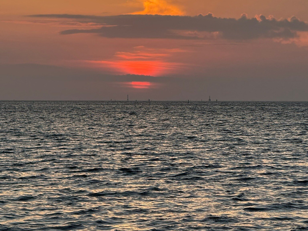 Latitudes Tours-Ruskin必去景点