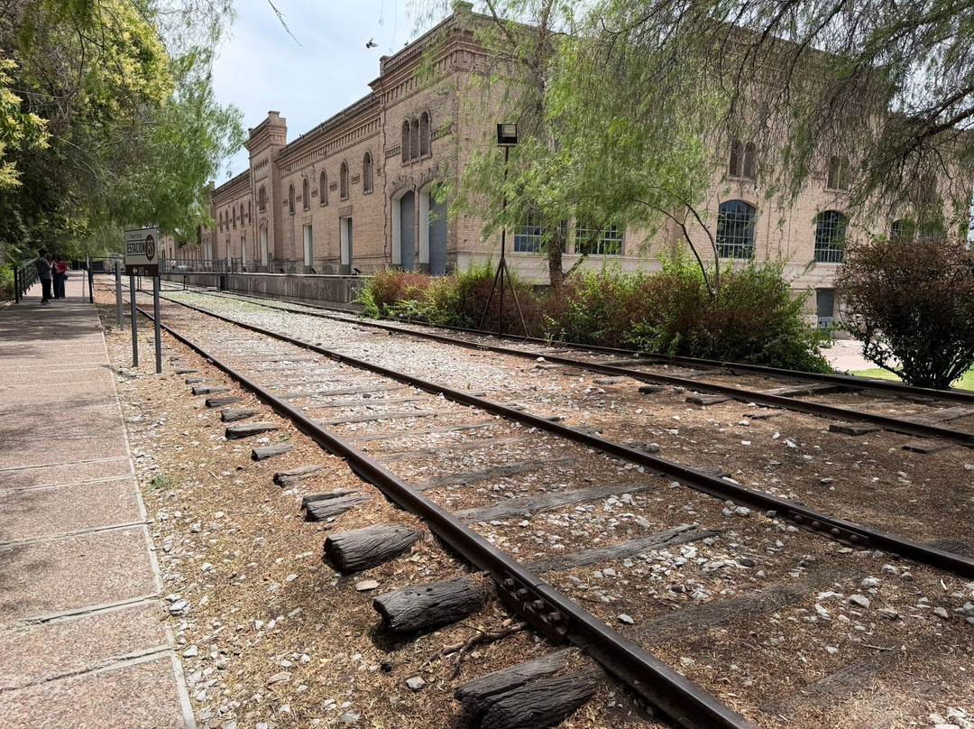 Bodega Trapiche-门多萨必去景点