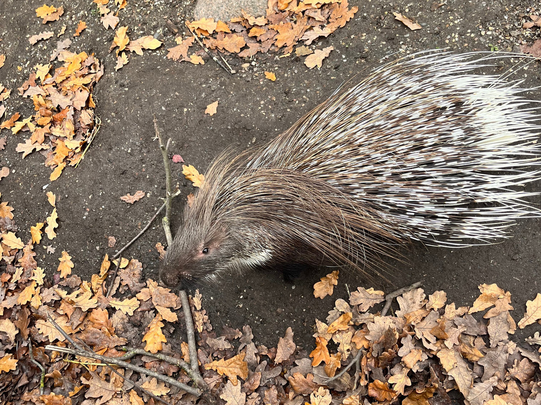 Pangea Park Falster-Nykobing Falster必去景点