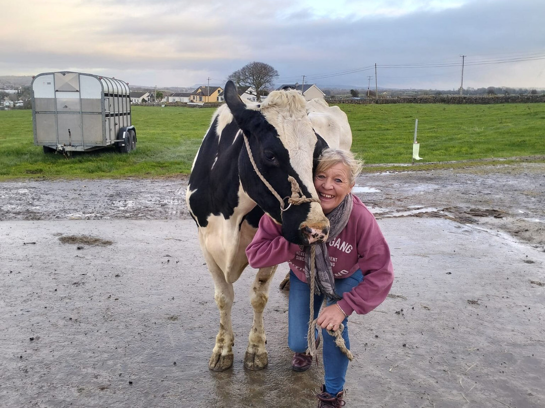 Campview Farm-Ballyshannon必去景点