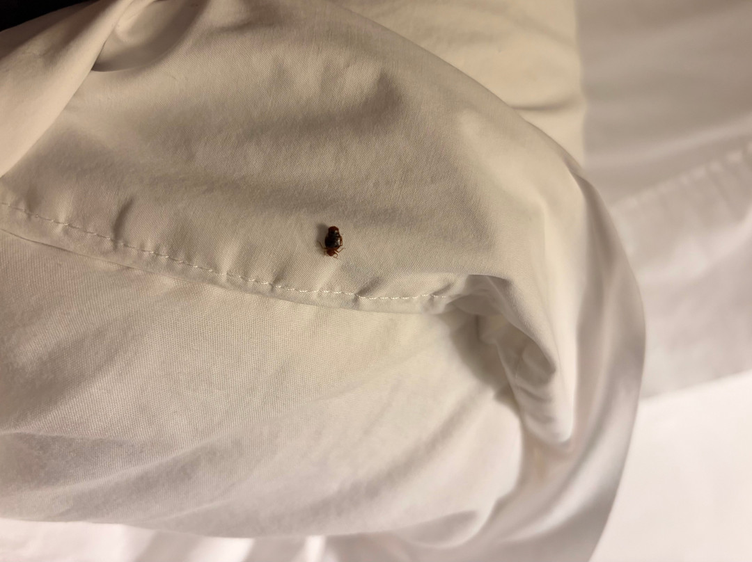 Hampton Inn Columbia主图