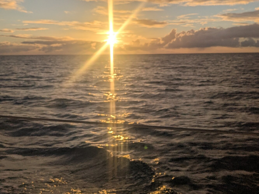 Boat Trips Antigua-圣 约翰必去景点