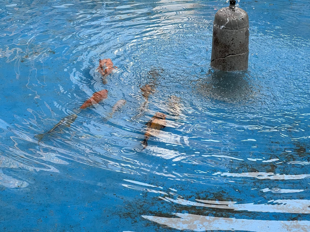 Sarhang Palace Hotel主图