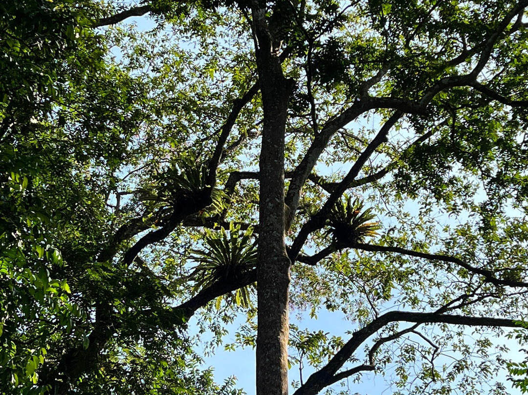 Cuc Phuong National Park-宁平必去景点