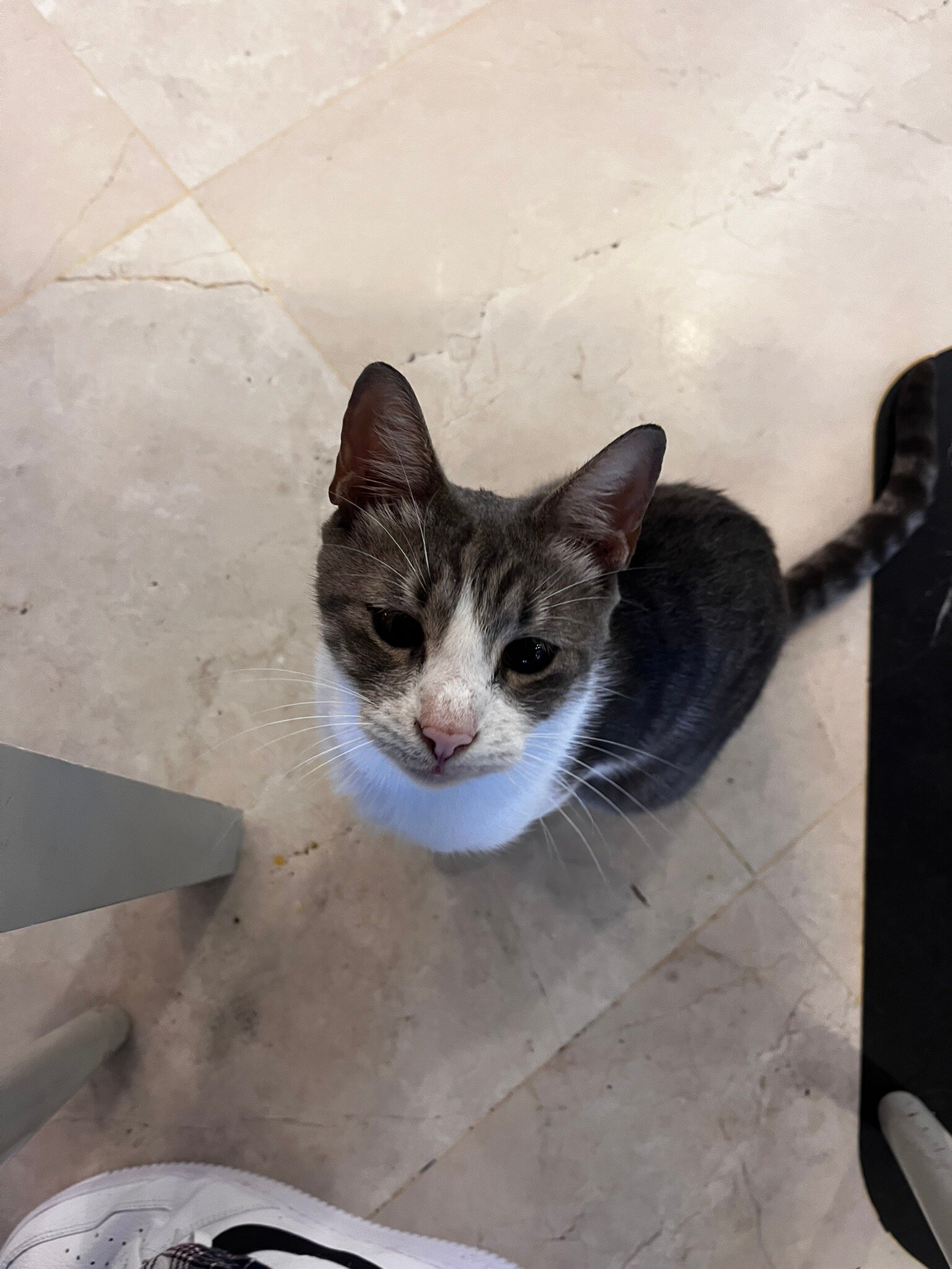 Sensitive Premium Resort & Spa-官方