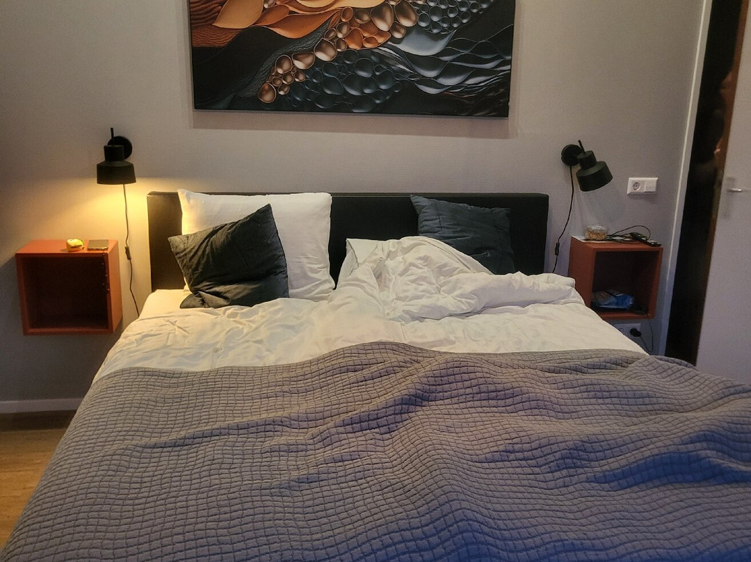 Villa Zoutelande主图