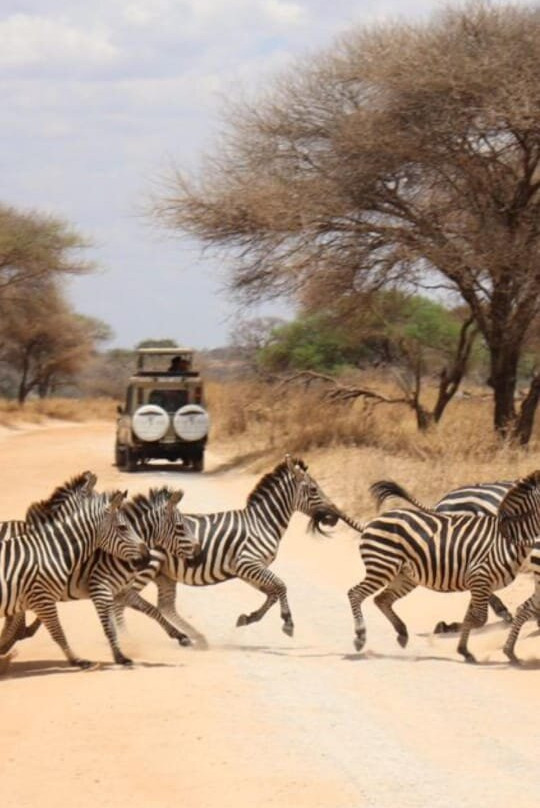 FB Tanzania Expeditions-阿鲁沙必去景点