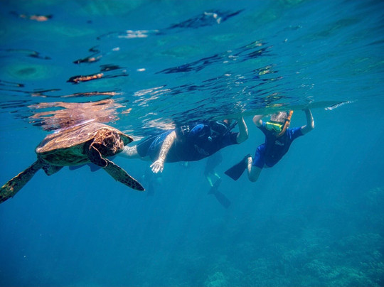 Ocean Project Maui LLC-拉海纳必去景点