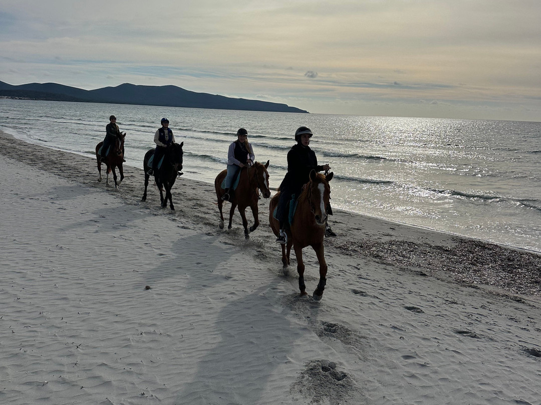Centro Ippico Meurreddus a Cuaddu-San Giovanni Suergiu必去景点