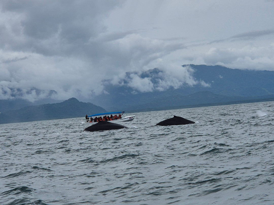 Aventura Uno-彭塔雷纳斯必去景点