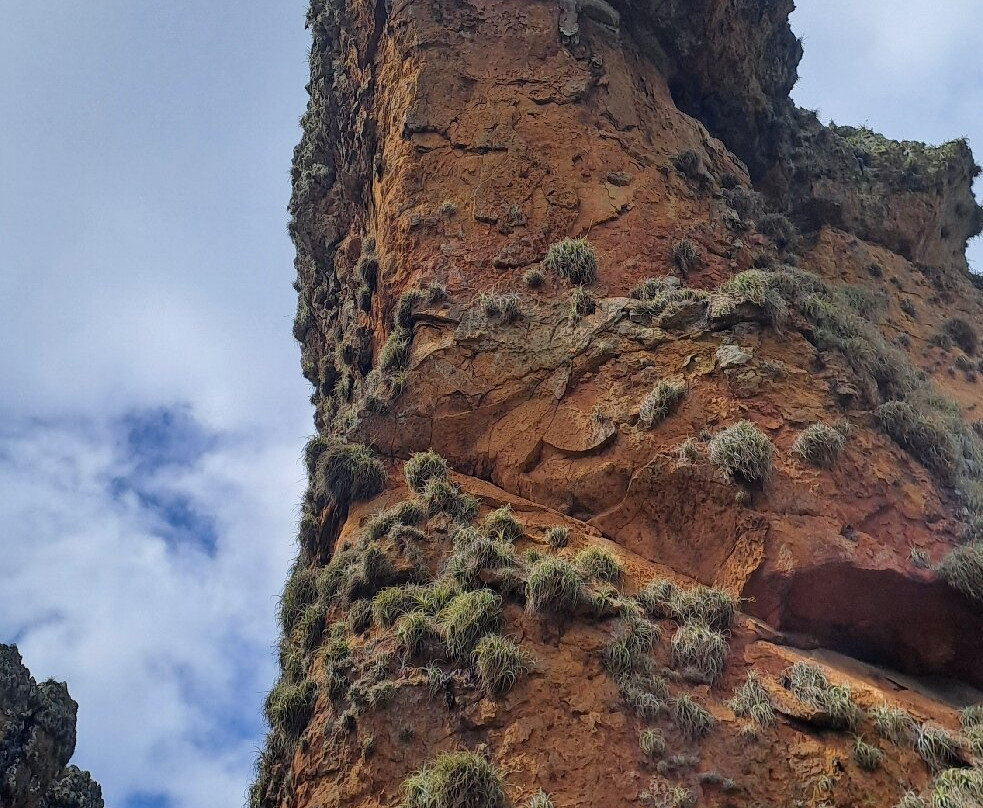 Parque Estadual de Vila Velha-Ponta Grossa必去景点