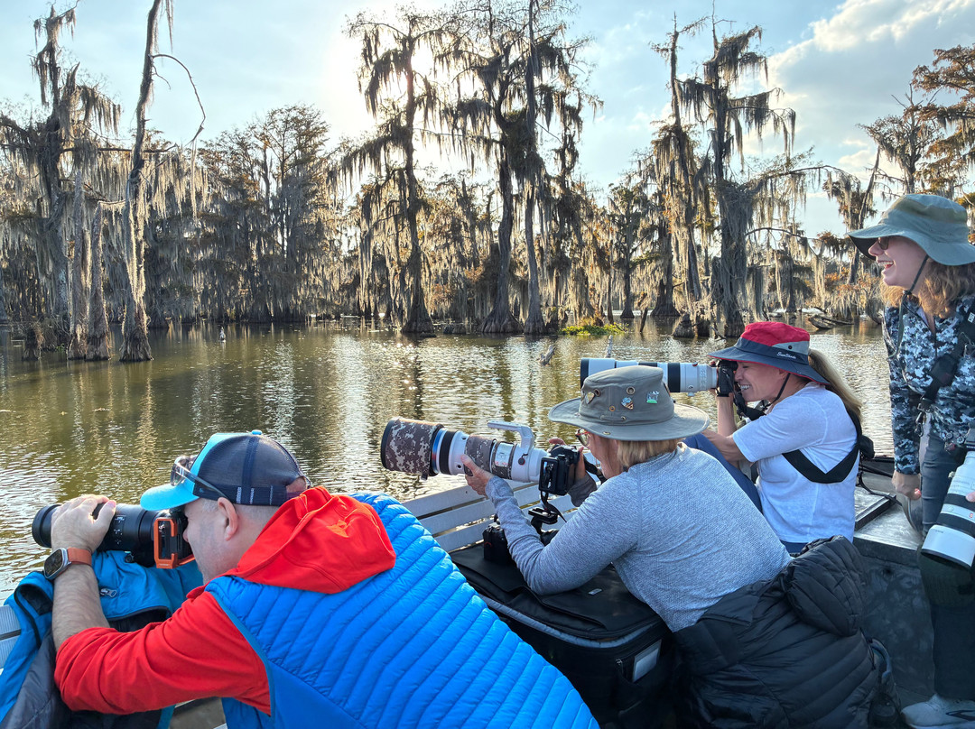 Louisiana Swamp Tours-布里奥克斯桥必去景点