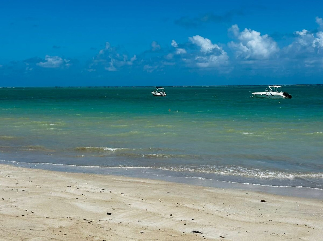 Praia Ponta de Mangue-Maragogi必去景点