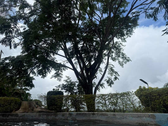 Outdoor Adventures Discover Costa Rica-El Jobo必去景点