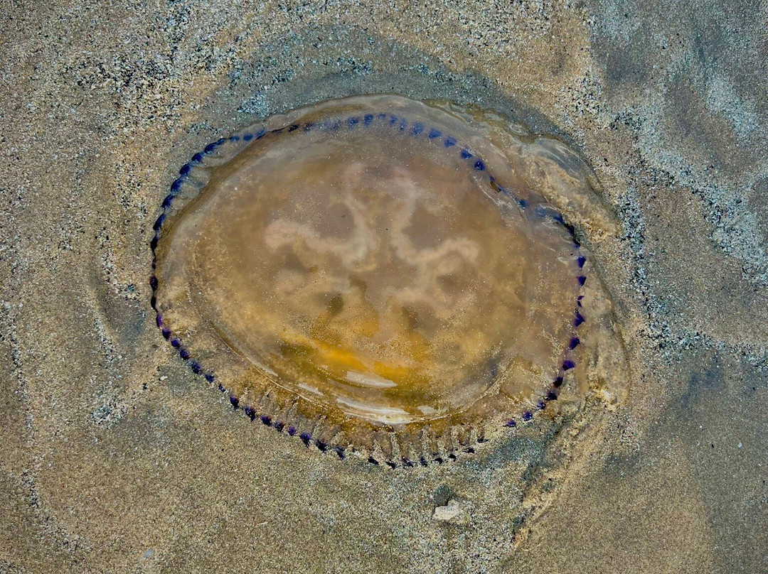 Luciano Guest House主图