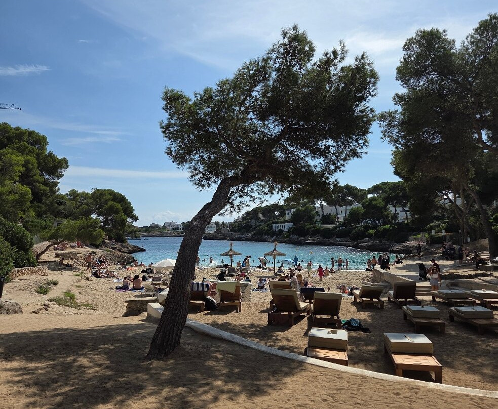 Playa Cala Gran-卡拉多尔必去景点