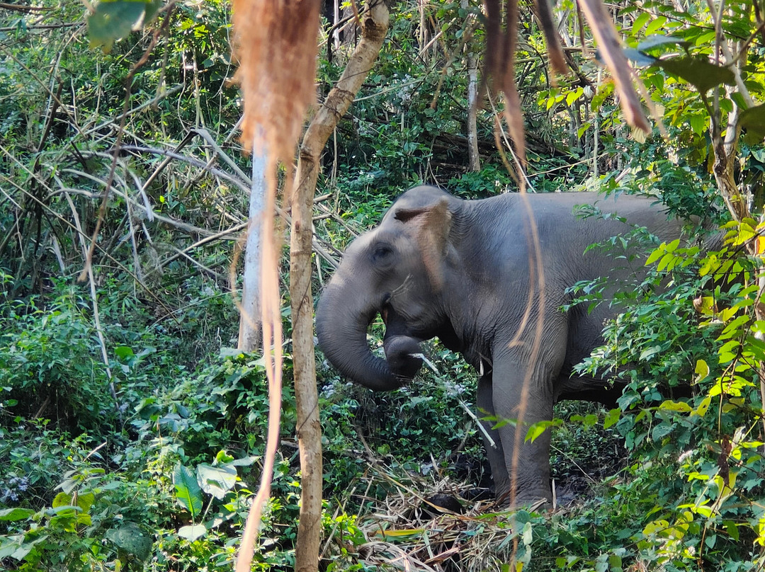 Chang Chill-Mae Win必去景点