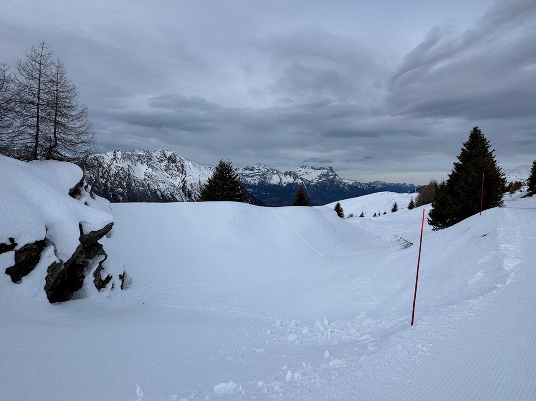 Independent Snowboard School-韦比尔必去景点