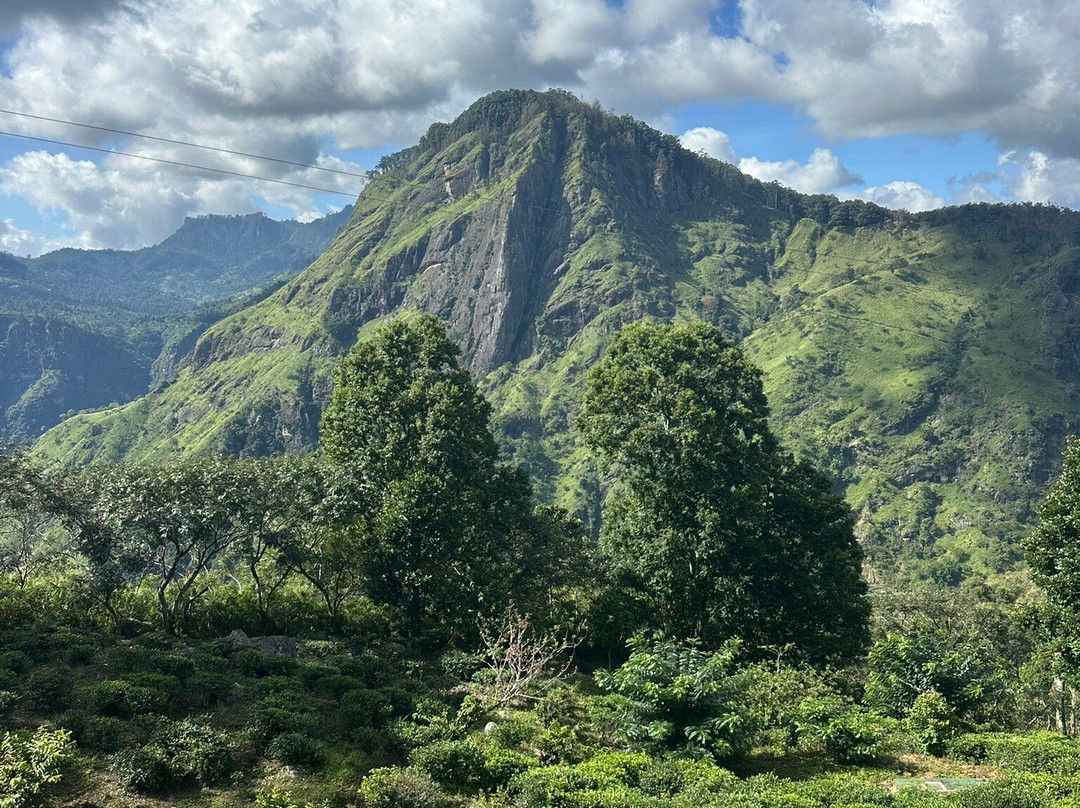 V Travel Sri-Lanka Excursions-科斯戈德必去景点