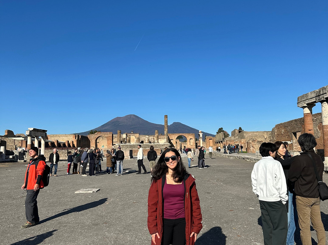 Crown Tours - Pompeii-庞贝必去景点
