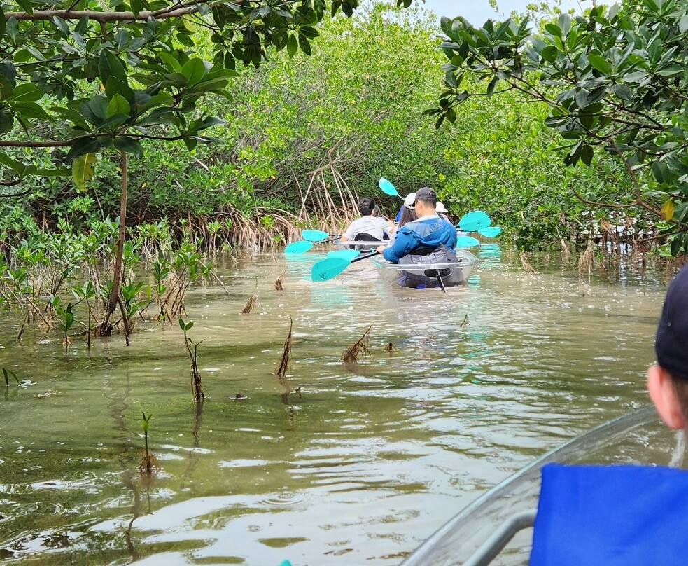 I Can See Clear Kayaking-伊斯拉摩拉达必去景点