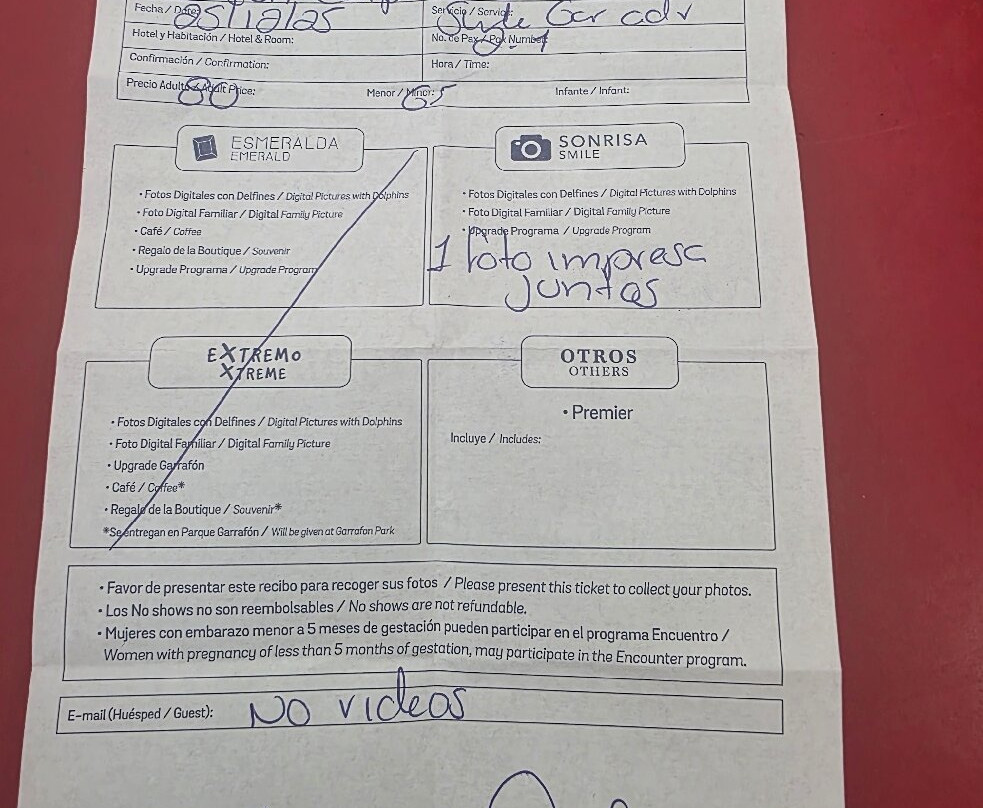 坎昆海豚乐园-坎昆必去景点