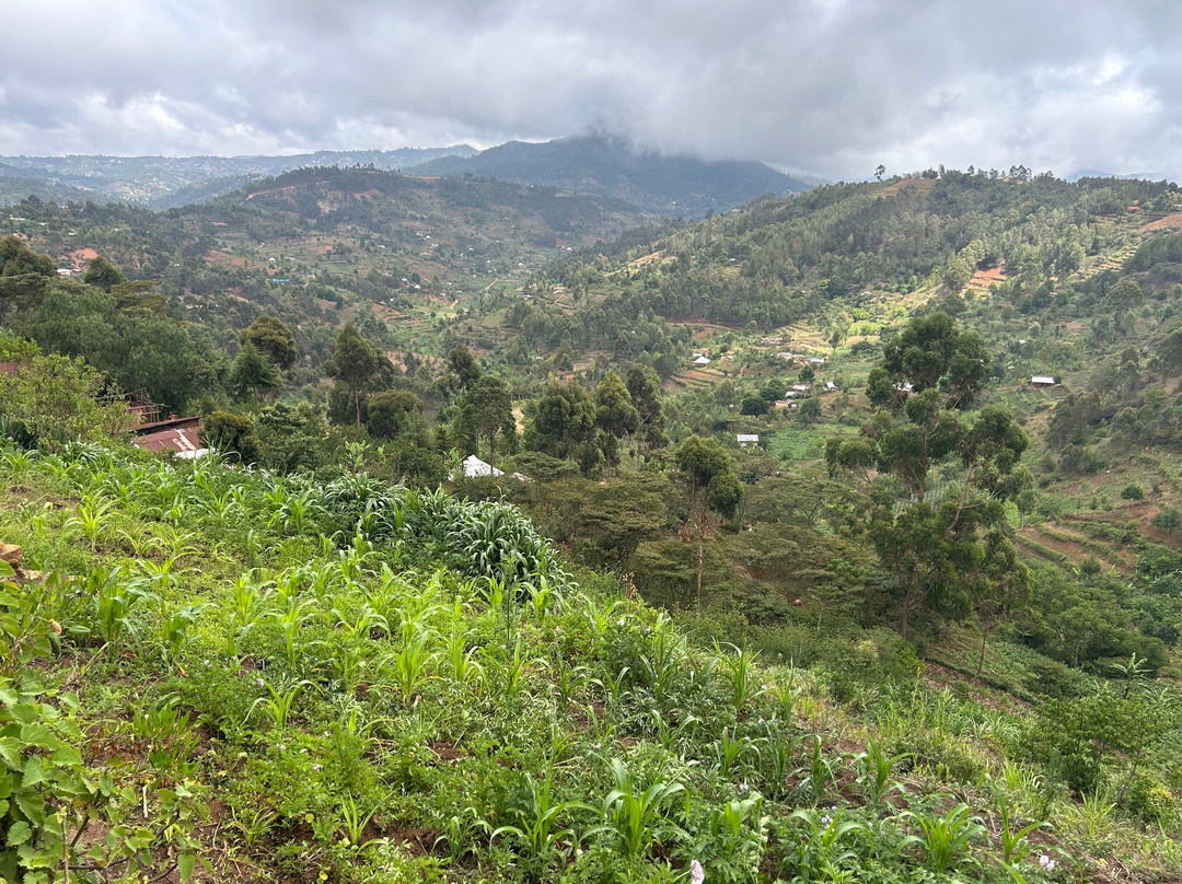 Usambara Eco Tours-卢绍托必去景点