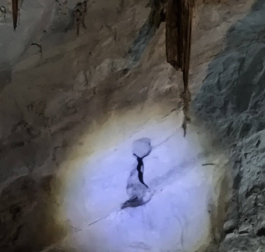 Parque Nacional Grutas de Cacahuamilpa-中部墨西哥和墨西哥湾沿岸必去景点