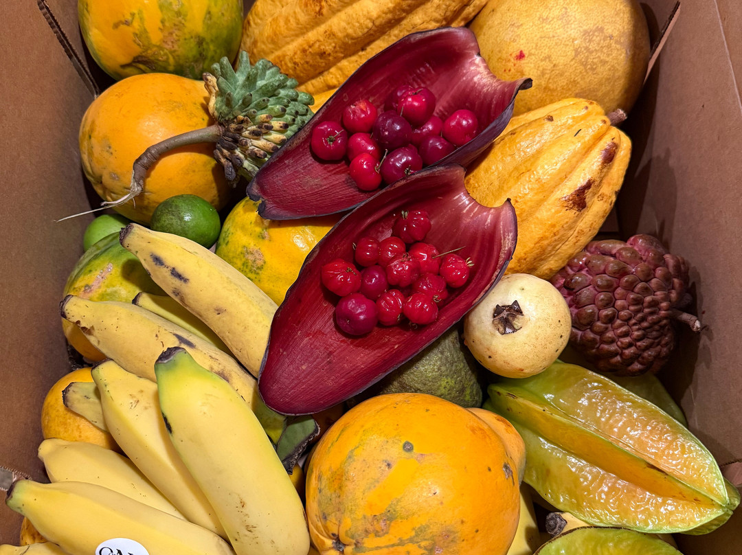 ONO Organic Farms-哈纳必去景点