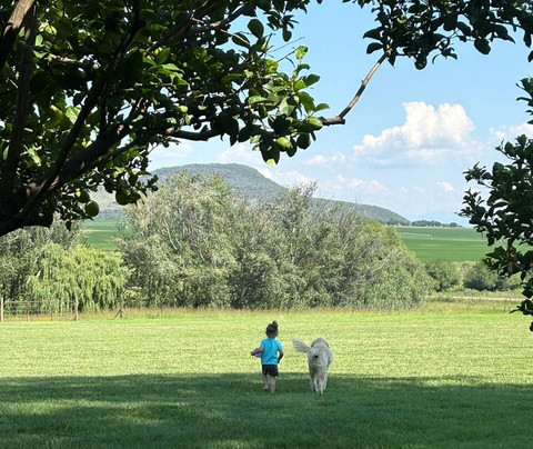 Dalmore Farm Guest House主图