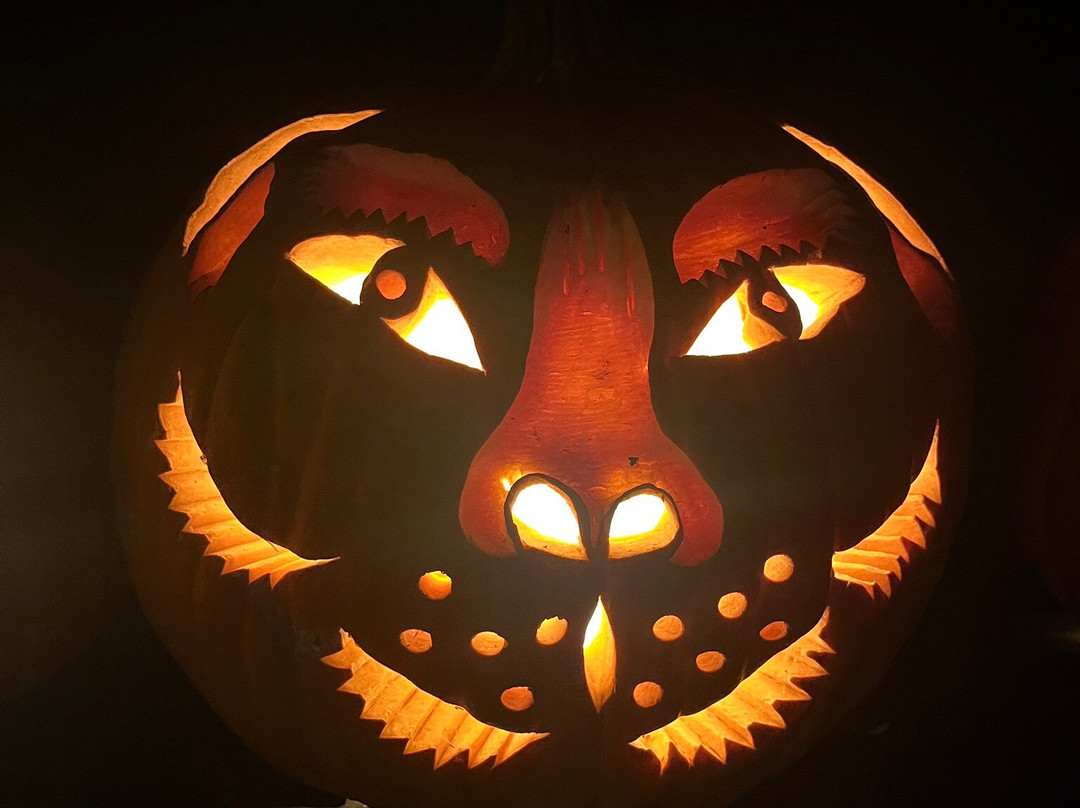 Van Cortlandt Manor-Croton on Hudson必去景点