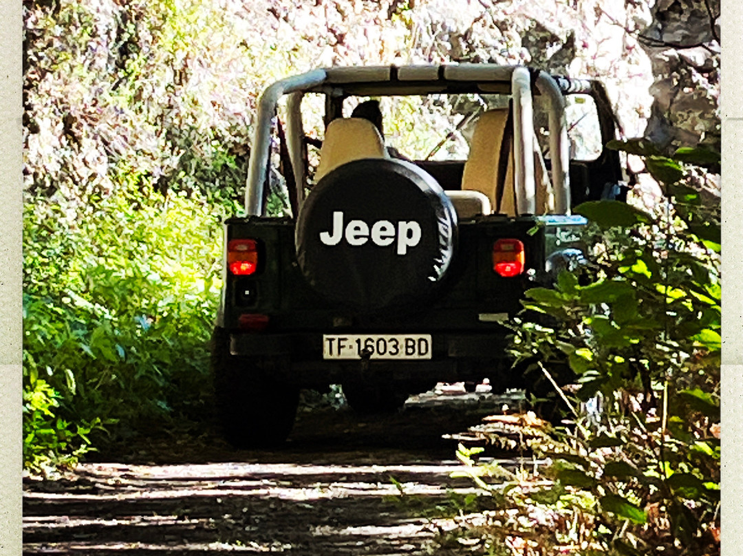 Viajes Idea 4x4 Tours La Palma-Mazo必去景点