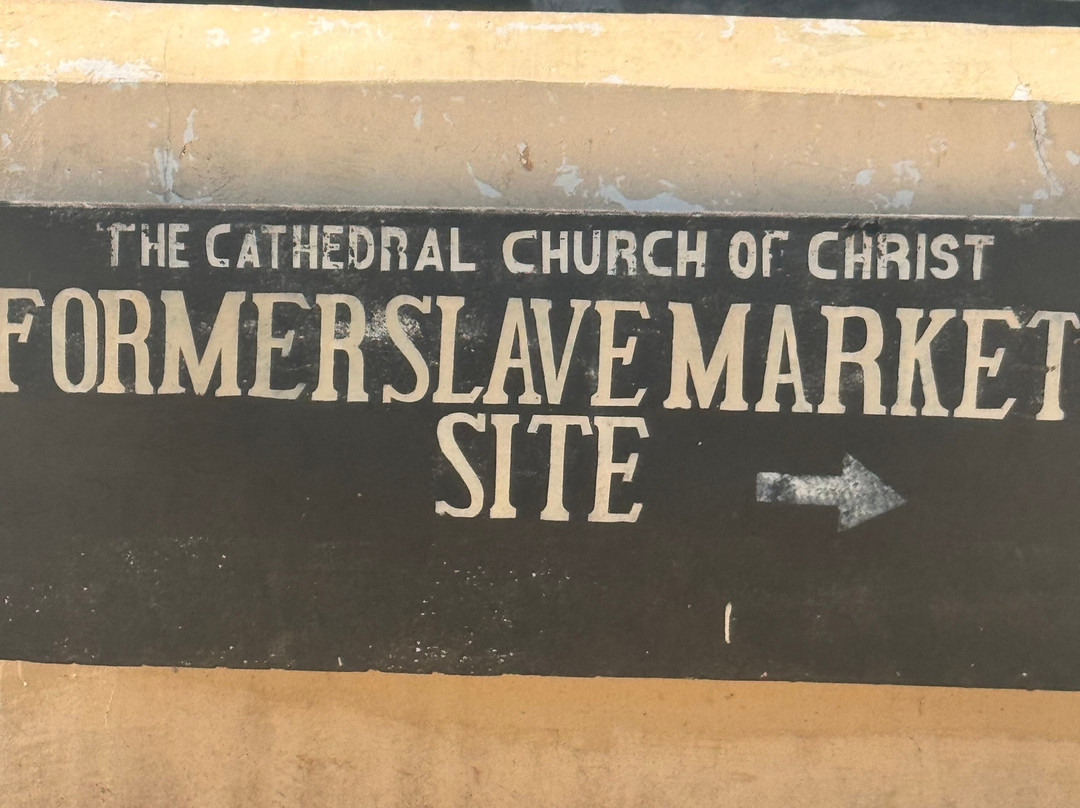 Kolekole Zanzibar Tour And Safaris-Unguja City必去景点