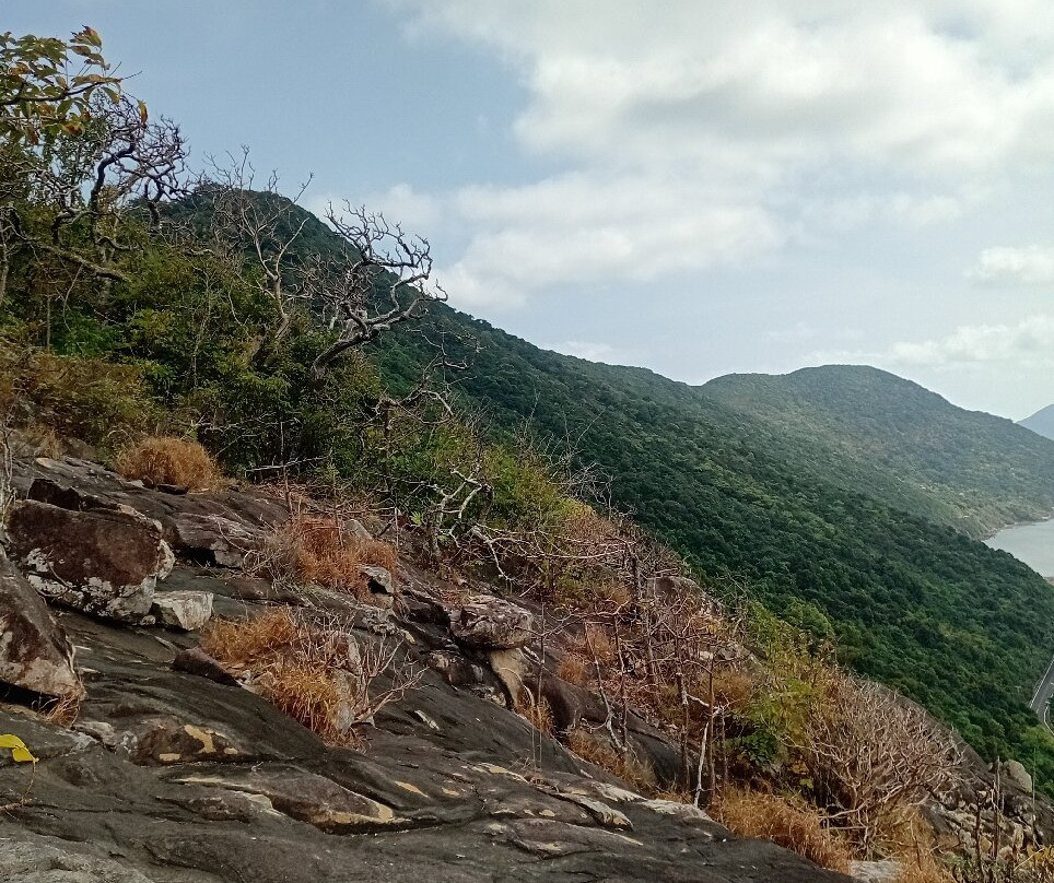 Con Dao National Park-昆山岛必去景点