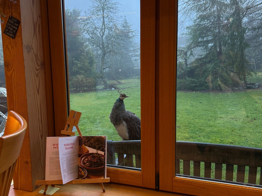 Errichel Cottages主图