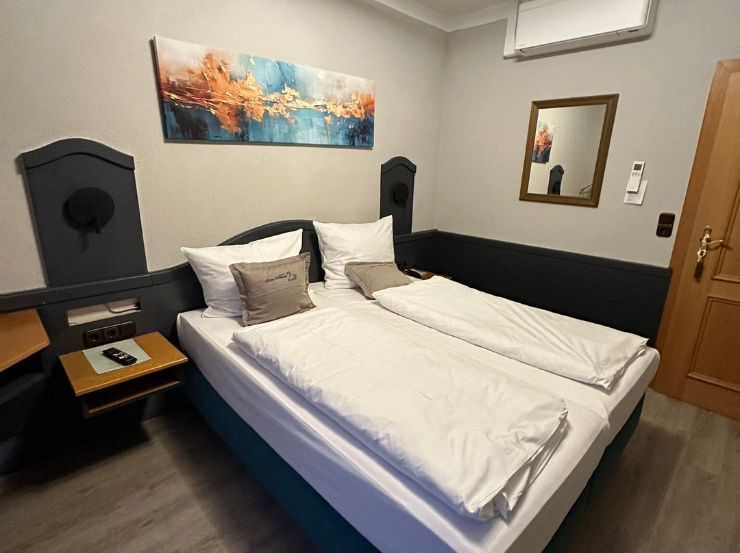 Gasthof zum Schwan主图