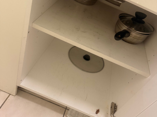 Atlantic Sands Beach Suites主图